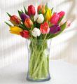 15 Stem Mixed Tulips with Glass Vase