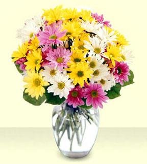 Mixed Daisy Bouquet with Vase