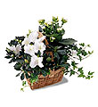 The FTD� White Assortment Basket