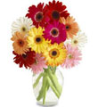 Gerbera Daisy Bouquet with Clear Glass Vase